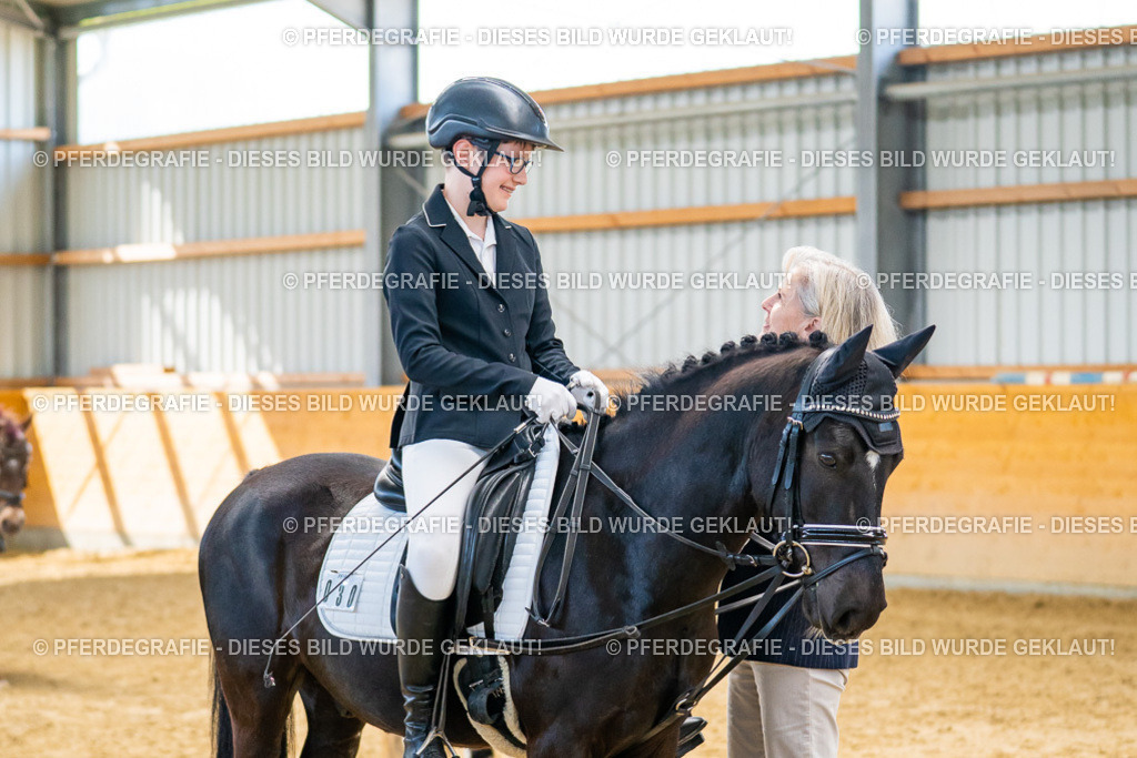 DSC01456 | Pferdegrafie