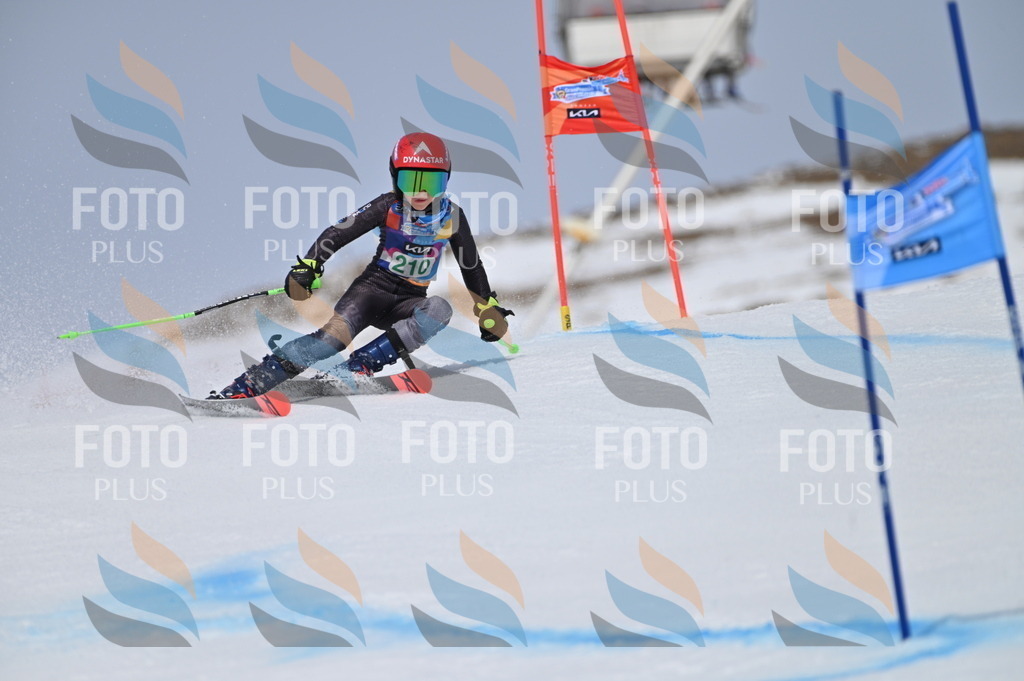 BGV_4055 | holidayphoto