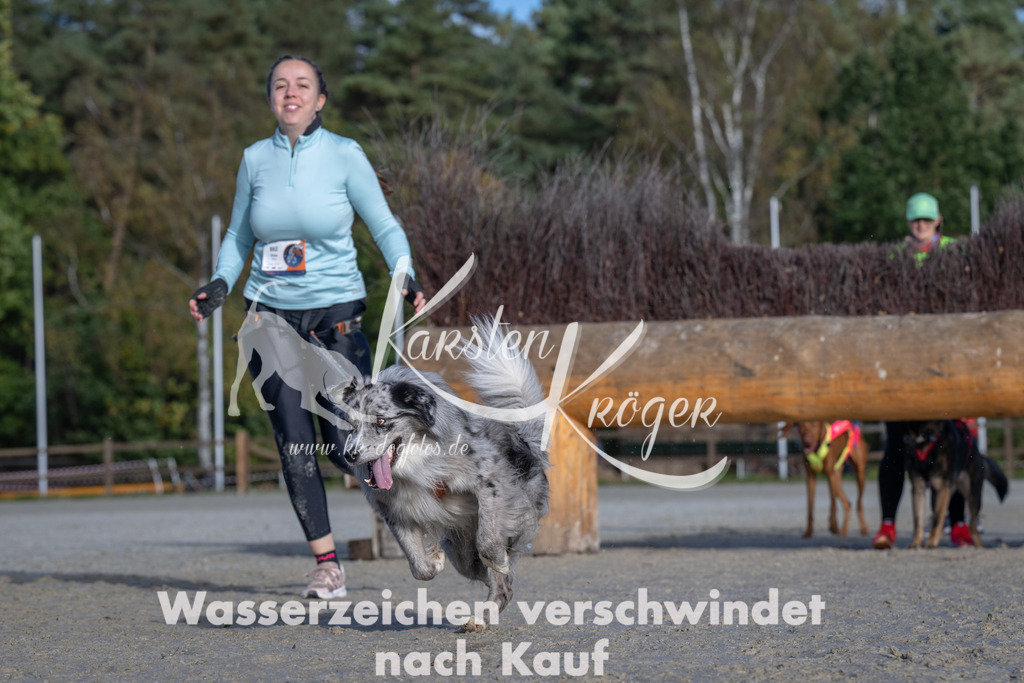 1055-_ZZ93267 | kk-dogfotos