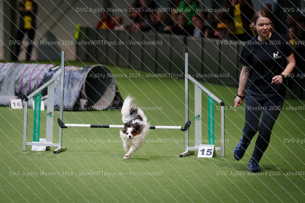 allesWIRTHgut_Tierfotografie-DVG_Agility_Masters_2026-08_41-7R501189 | Professionelle Tierfotografie in Mönchengladbach von Daniel Wirth (allesWIRTHgut). Liebevolle & natürliche Bilder von Hunden & Katzen für unvergessliche Erinnerungen.