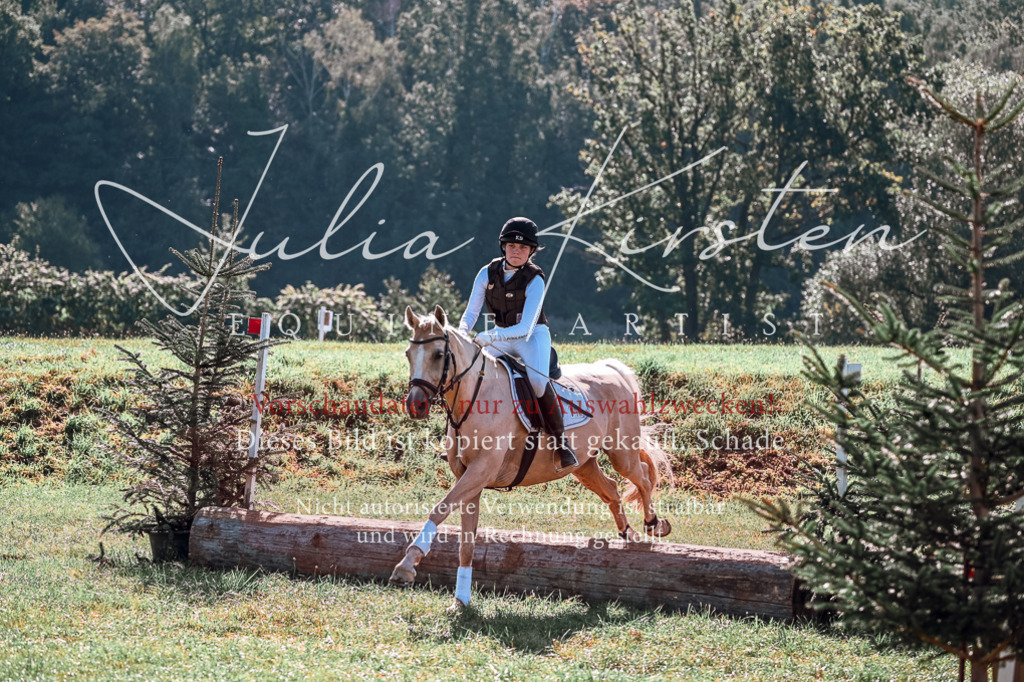 DSC_1109 | Pferde- und Turnierfotografie in Westsachsen. Pferdeportraits, Auftragszeichnungen und intuitive Kunst.