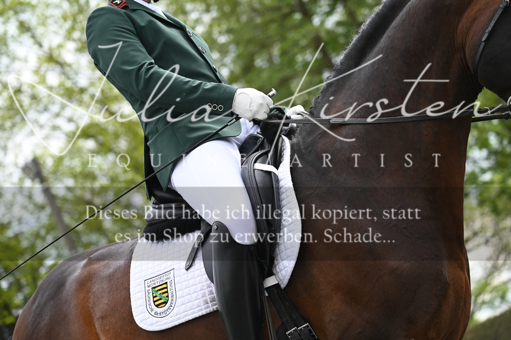 20230512_JK-Röhrsdorf-08-098 | Pferde- und Turnierfotografie in Westsachsen. Pferdeportraits, Auftragszeichnungen und intuitive Kunst.