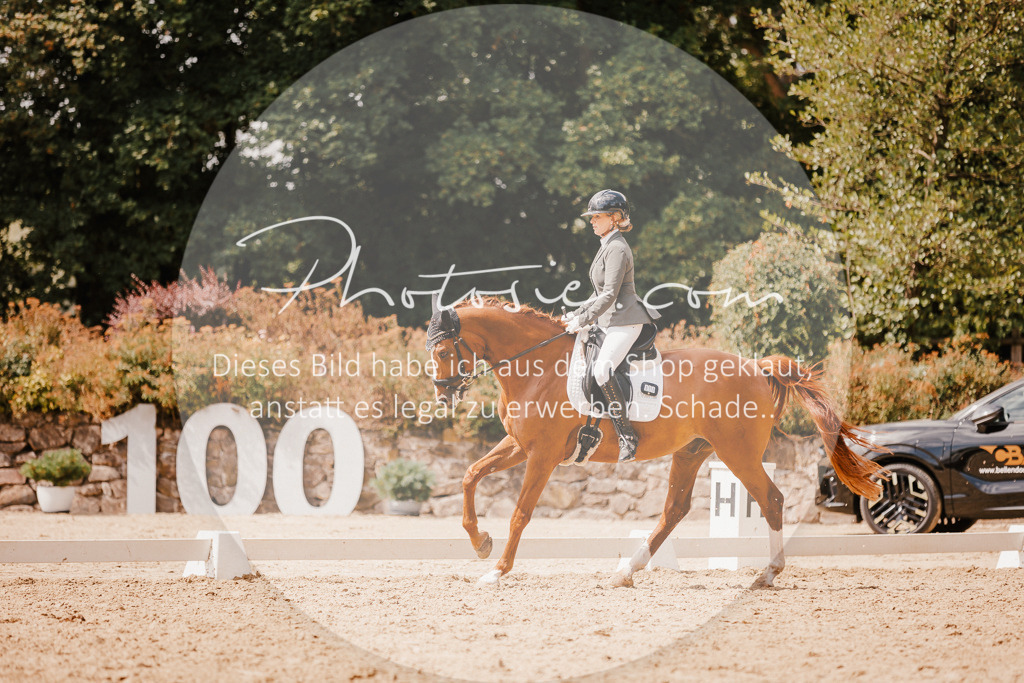 3I6A6052 | Stimmungsvolle Portraits und Reitsportfotografie im Ruhrgebiet und im Münsterland.

Pferdefotografie, Hundefotografie, Tierfotografie, Reportagen, Portraits von Tier und Mensch, Turnierfotografie in Bochum, Recklinghausen, Marl, Haltern am See, Dülmen.. - Realisiert mit Pictrs.com