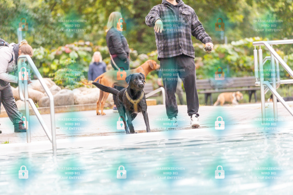 _HP_7323_1000o | HetPix, HetPix Fotodesign, Fotografie, Fotodesign, Webshop, Sportfotografie, Portraitfotografie, Onlineshop, Sportfotografie, Polch, Motorsportfotografie, Eventfotografie