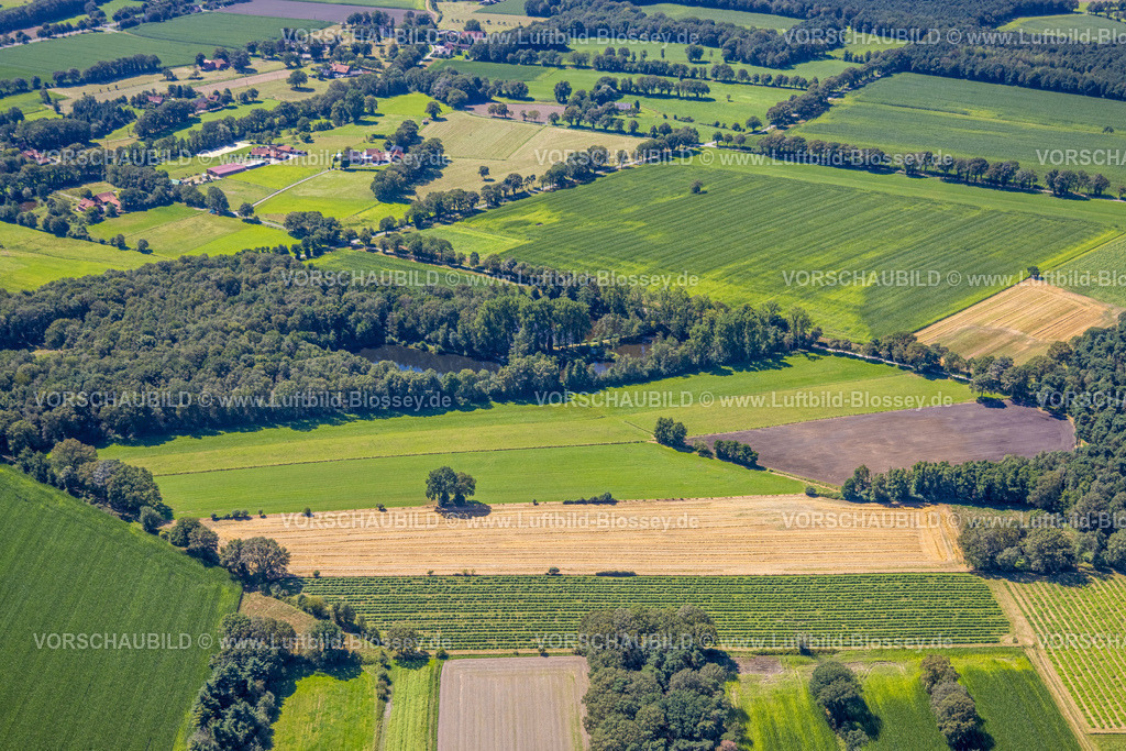 Schermbeck240802032 | Luftbild, Wiesen und Felder und Höfe entlang der Bundesstraße B58, Waldstück mit ASV "Rotfeder" Alpen e.V. Teich-Anlage Zum Gewässerwart Angelverein, Bricht, Schermbeck, Ruhrgebiet, Nordrhein-Westfalen, Deutschland