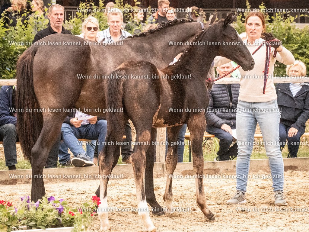 A10I1728 | photographylinaismer - Realisiert mit Pictrs.com