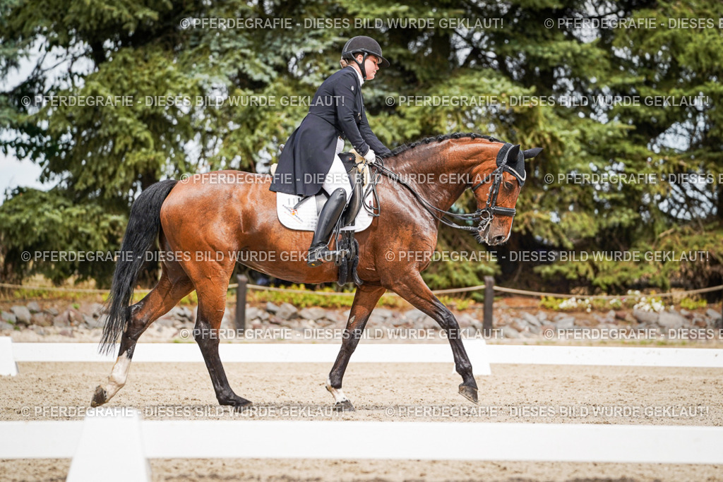 DSC06693 | Pferdegrafie