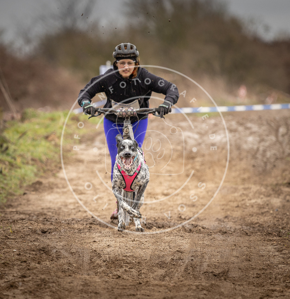 DV3A1279 | Hundefotografie, Tierfotograf, Pfotenfotografie, Fotoshooting Hund, Hunde Portrait, Hundesport, Hundeportraits, Heideshooting, Hunde, Sportfotograf, Hundefotograf, Turnierhundsport, THS,  - Realisiert mit Pictrs.com