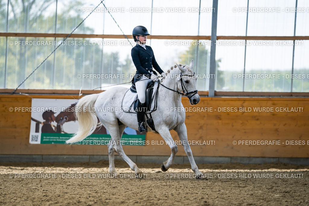 DSC05587 | Pferdegrafie