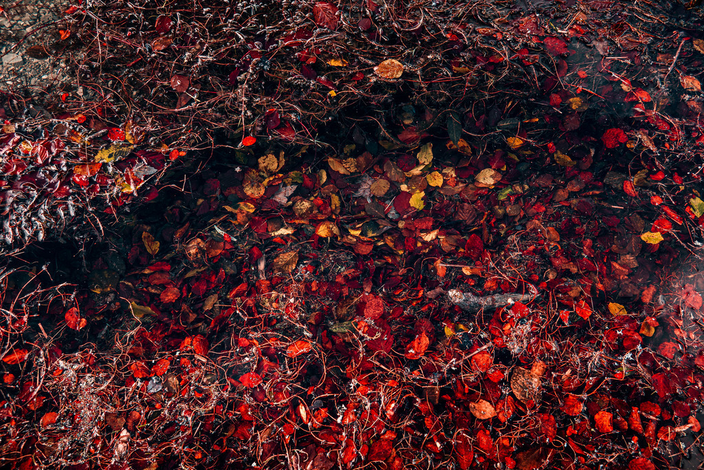 IMG_3150 | ap-design // andreas plenk - Realisiert mit Pictrs.com