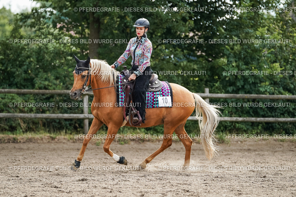 DSC03500 | Pferdegrafie