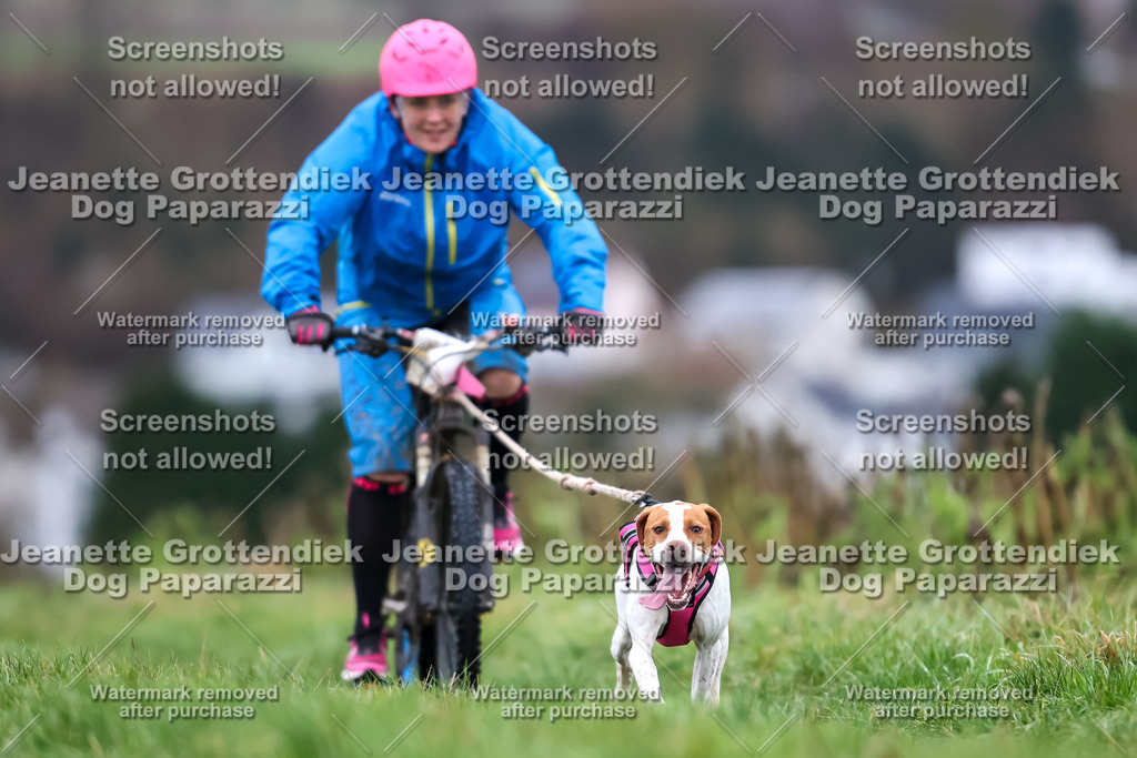 Dog Paparazzi - Herkules Race  2025-4 | Dog Paparazzi Jeanette Grottendiek Fotografie & Videografie
