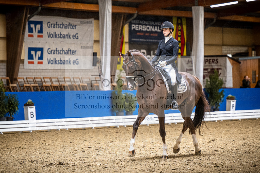 DOS_0311 | Entdecke hochwertige Reitturnierfotos von Foto Oger. Professionell, emotional und authentisch – jetzt Lieblingsmomente im Shop bestellen.Deutschlandweite Turnierfotografie. - Realisiert mit Pictrs.com