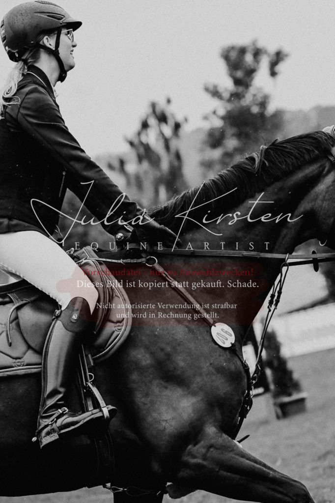 DSC_6541 | Pferde- und Turnierfotografie in Westsachsen. Pferdeportraits, Auftragszeichnungen und intuitive Kunst.
