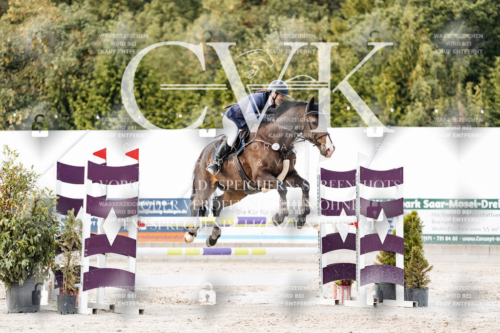 CK903813 | Turnierfotografie Pferdefotografie Trier Rheinland-Pfalz Pferdesport Reitsport Tierfotografie Sportfotografie Pferdevideo Pferdevideografie Equestrianvideography equestrianphotography  - Realisiert mit Pictrs.com