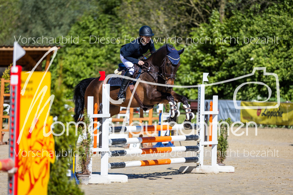 Donop24-A2Spr-044 | MomenTaufnahmen Pferdesportfotos