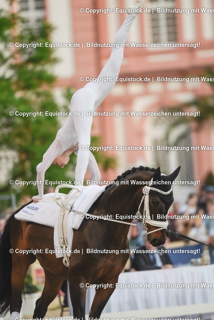 20230527_Voltigieren_NASPA_Flutlicht_0148 | equistock