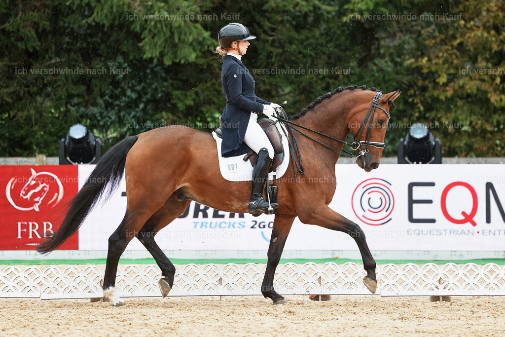 8_1-001-Klasse S_  -StoibPH-3956 | working equitationturnier fotograf videograf stoibphotography marixx film working equitation deutschland reitsport turnierfotografie eventfotografie equestrian events