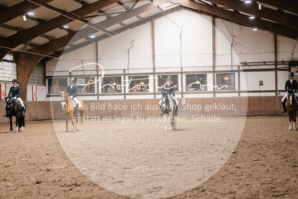 3I6A7934 | Stimmungsvolle Portraits und Reitsportfotografie im Ruhrgebiet und im Münsterland.

Pferdefotografie, Hundefotografie, Tierfotografie, Reportagen, Portraits von Tier und Mensch, Turnierfotografie in Bochum, Recklinghausen, Marl, Haltern am See, Dülmen.. - Realisiert mit Pictrs.com