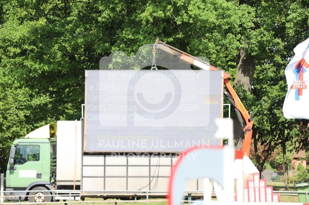 IMG_6567 | Pauline Ullmann Photography - Realisiert mit Pictrs.com