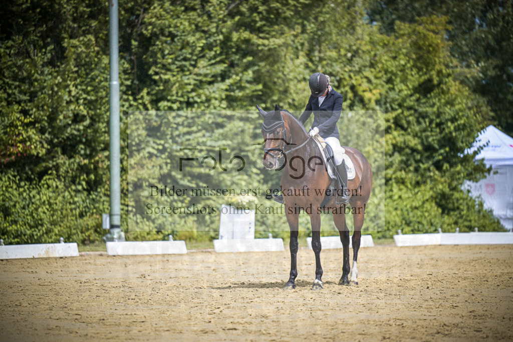 DOS_3692 | Entdecke hochwertige Reitturnierfotos von Foto Oger. Professionell, emotional und authentisch – jetzt Lieblingsmomente im Shop bestellen.Deutschlandweite Turnierfotografie. - Realisiert mit Pictrs.com