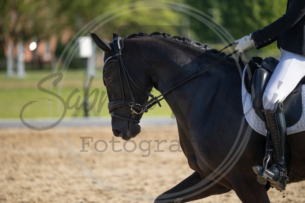 994A4230 | sabrinanicolaifotografie - Realisiert mit Pictrs.com