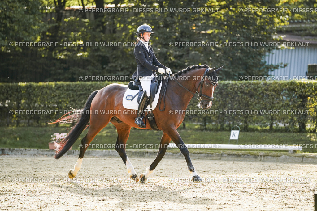 DSC05161 | Pferdegrafie