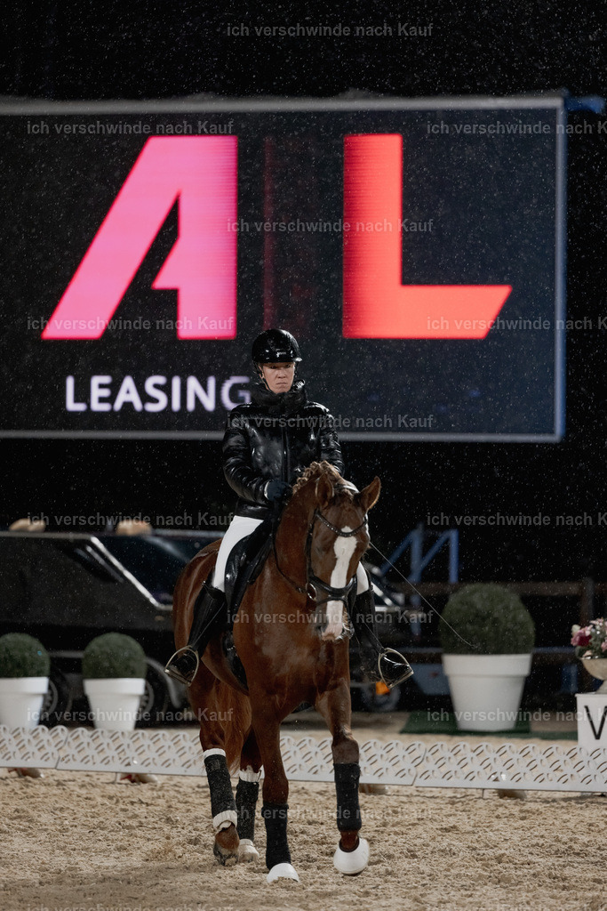 FHClassics-35 | working equitationturnier fotograf videograf stoibphotography marixx film working equitation deutschland reitsport turnierfotografie eventfotografie equestrian events