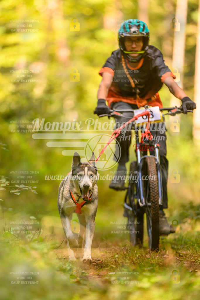 MompixPhotography_Yens2025_B2-101 | PayLife