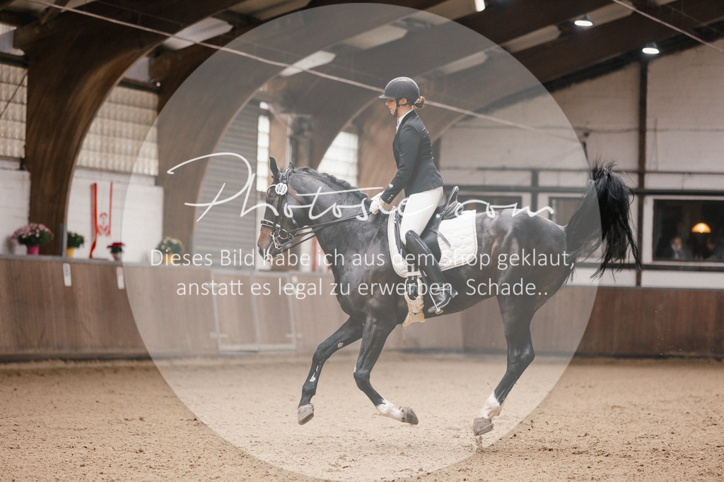 3I6A8743 | Stimmungsvolle Portraits und Reitsportfotografie im Ruhrgebiet und im Münsterland.

Pferdefotografie, Hundefotografie, Tierfotografie, Reportagen, Portraits von Tier und Mensch, Turnierfotografie in Bochum, Recklinghausen, Marl, Haltern am See, Dülmen.. - Realisiert mit Pictrs.com