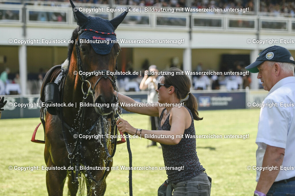 20230527_27_CCI4_Gelände_0477 | equistock