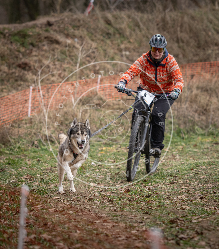 Pfotenfotografie_DV3A6296 | Hundefotografie, Tierfotograf, Pfotenfotografie, Fotoshooting Hund, Hunde Portrait, Hundesport, Hundeportraits, Heideshooting, Hunde, Sportfotograf, Hundefotograf, Turnierhundsport, THS,  - Realisiert mit Pictrs.com