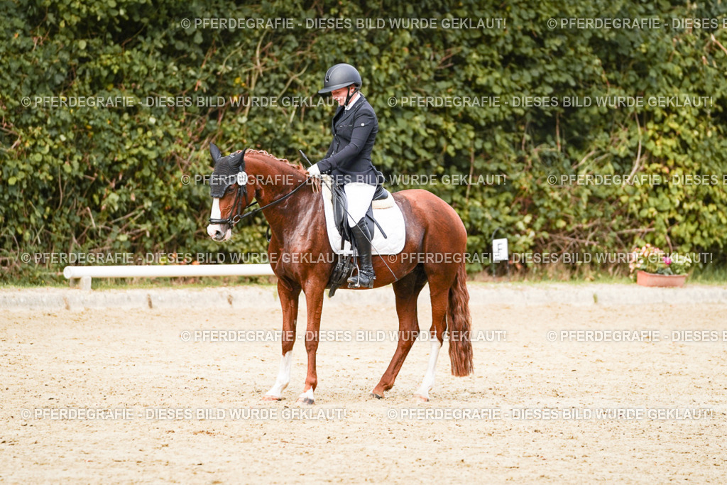 DSC03877 | Pferdegrafie