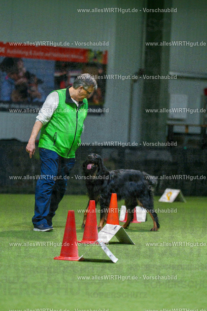 7R505373 | Professionelle Tierfotografie in Mönchengladbach von Daniel Wirth (allesWIRTHgut). Liebevolle & natürliche Bilder von Hunden & Katzen für unvergessliche Erinnerungen.