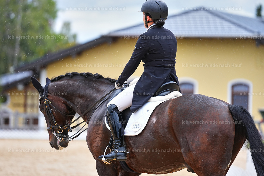 8_1-206-Klasse S_  -Marixx-4255 | working equitationturnier fotograf videograf stoibphotography marixx film working equitation deutschland reitsport turnierfotografie eventfotografie equestrian events