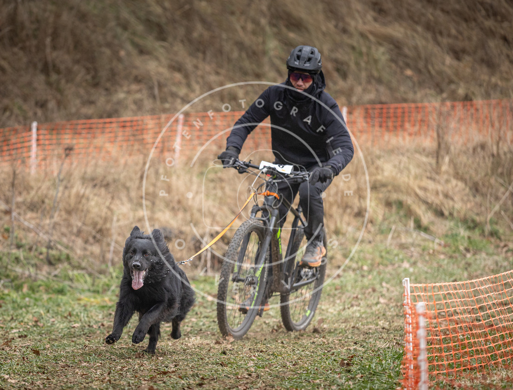 Pfotenfotografie_DV3A6168 | Hundefotografie, Tierfotograf, Pfotenfotografie, Fotoshooting Hund, Hunde Portrait, Hundesport, Hundeportraits, Heideshooting, Hunde, Sportfotograf, Hundefotograf, Turnierhundsport, THS,  - Realisiert mit Pictrs.com