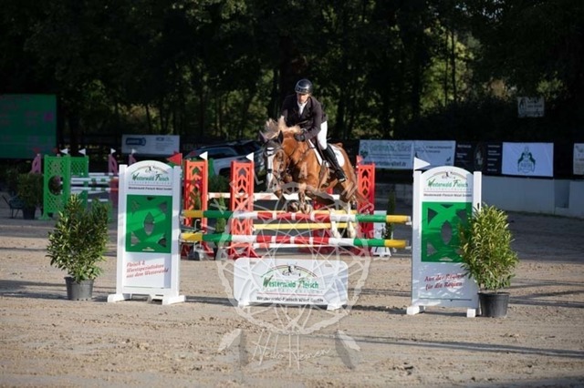 2B4A0949 | pixelfaenger - Realisiert mit Pictrs.com