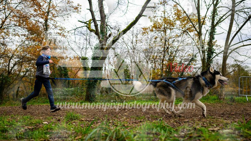 MompixPhotography_Bischwiller24_DI_CoursedeRelais-39 | PayLife