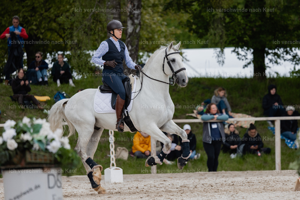 PI26_SP_StoibphotographyC2_C2345.jpg | working equitationturnier fotograf videograf stoibphotography marixx film working equitation deutschland reitsport turnierfotografie eventfotografie equestrian events