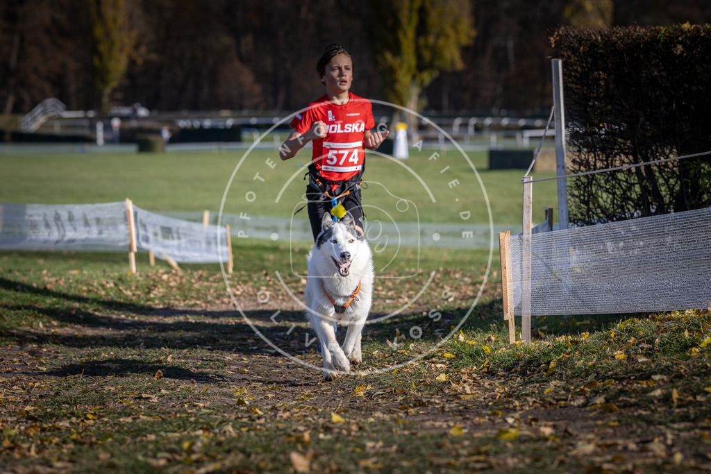 CaniXpix_DV3A8924 | Hundefotografie, Tierfotograf, Pfotenfotografie, Fotoshooting Hund, Hunde Portrait, Hundesport, Hundeportraits, Heideshooting, Hunde, Sportfotograf, Hundefotograf, Turnierhundsport, THS,  - Realisiert mit Pictrs.com