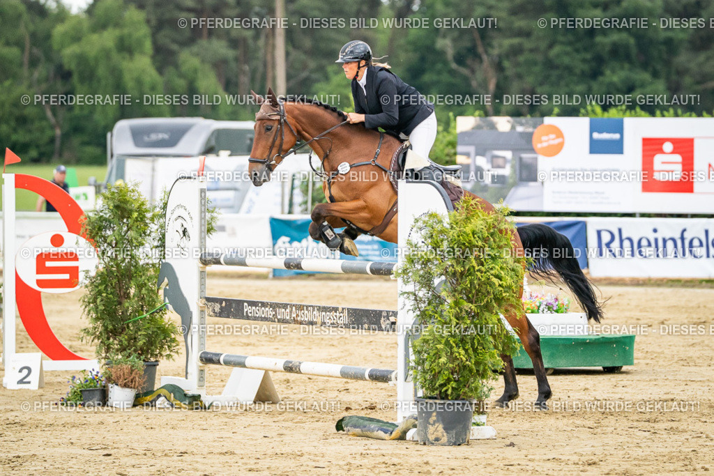 DSC07023 | Pferdegrafie