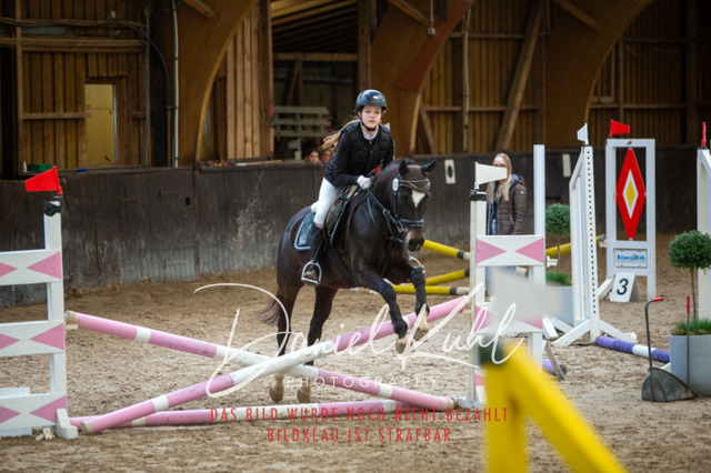 IMG_1807 | Turniersportfotografie; Pferdefotografie; Dressurfotografie