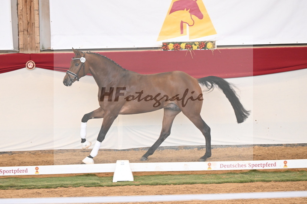 Kat.-Nr. 89 v. Zackerey_Ramsbrock_3261336 | hf-fotografie - Realizzato con Pictrs.com