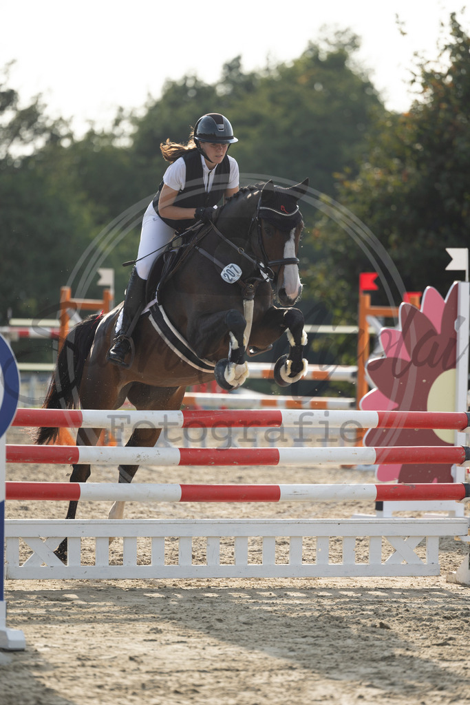 994A2120 | sabrinanicolaifotografie - Realisiert mit Pictrs.com