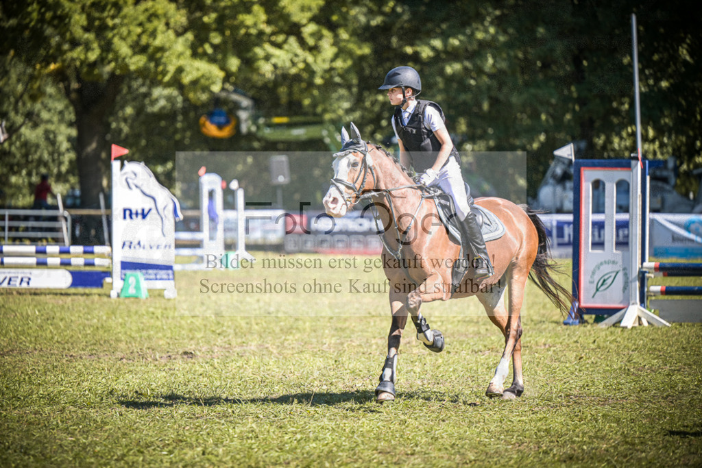 DOS_0482 | Entdecke hochwertige Reitturnierfotos von Foto Oger. Professionell, emotional und authentisch – jetzt Lieblingsmomente im Shop bestellen.Deutschlandweite Turnierfotografie. - Realisiert mit Pictrs.com