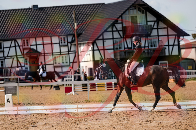 2026_10_03_Siefer-Hof_132124_Z63_82630519 | Professionelle Reitsport-, Turnier- und Eventfotografie von Robert Broda. Galerien mit ausgewählten und bearbeiteten Bildern direkt online ansehen und bestellen.