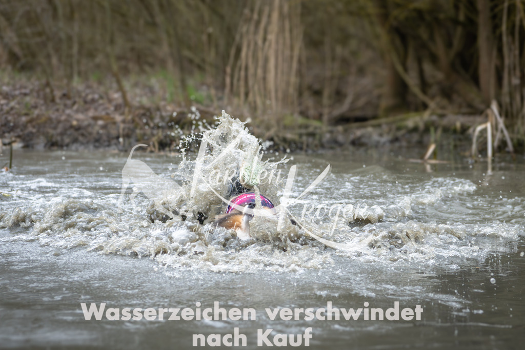 1000_ZZ94507 | kk-dogfotos