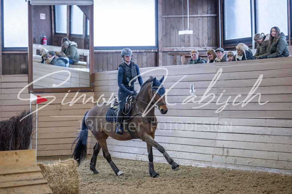 20260221-_3LI8901 | Tierfotografie Pferde, Hunde, Katzen, Haustiere.
Turnierfotografie Reitturniere, Reiten, Springreiten, Dressur in Hanau, dem Main-Kinzig-Kreis und dem Rhein-Main- Gebiet um Frankfurt