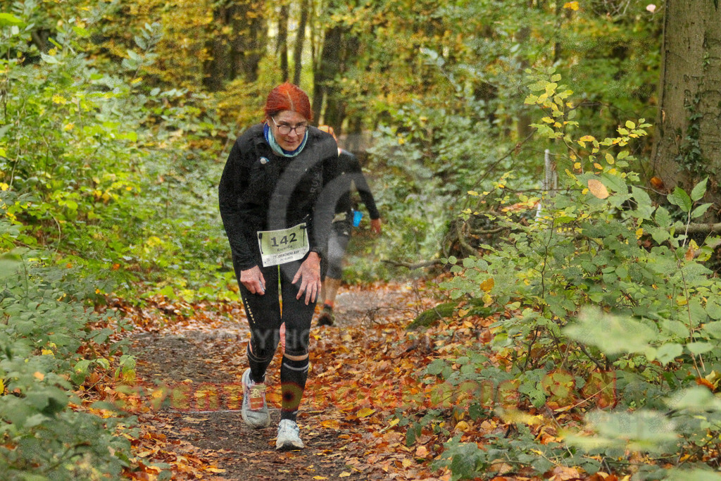 251026_1311_EV4_6617 | Sportfotografie im Rhein-Sieg Kreis, Köln, Bonn, NRW, Rheinland Pfalz, Hessen, etc. Unser Tätigkeitsfeld umfasst den Laufsport vom Volkslauf über den Marathon, Duathlon, Triathon bis zum Ultralauf wie Kölnpfad Ultra oder Schindertrail.