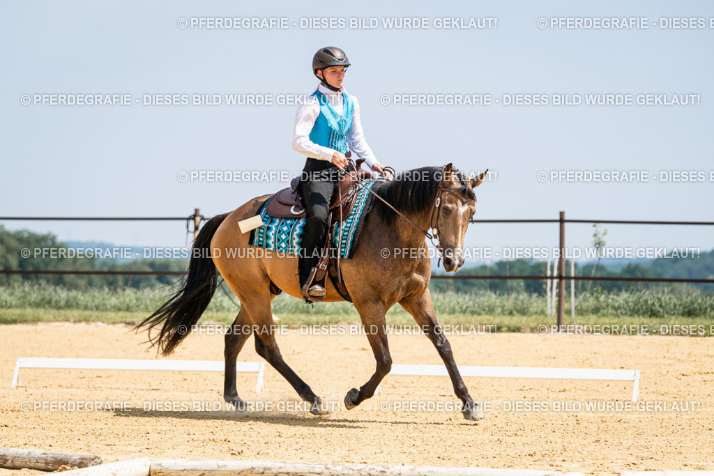 DSC01006 | Pferdegrafie